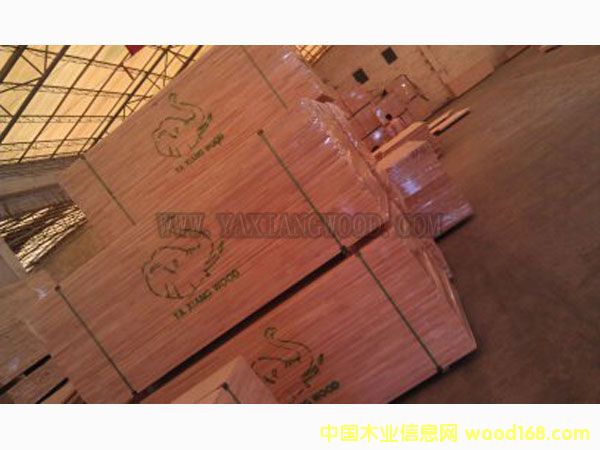 圖：產品 點擊可放大