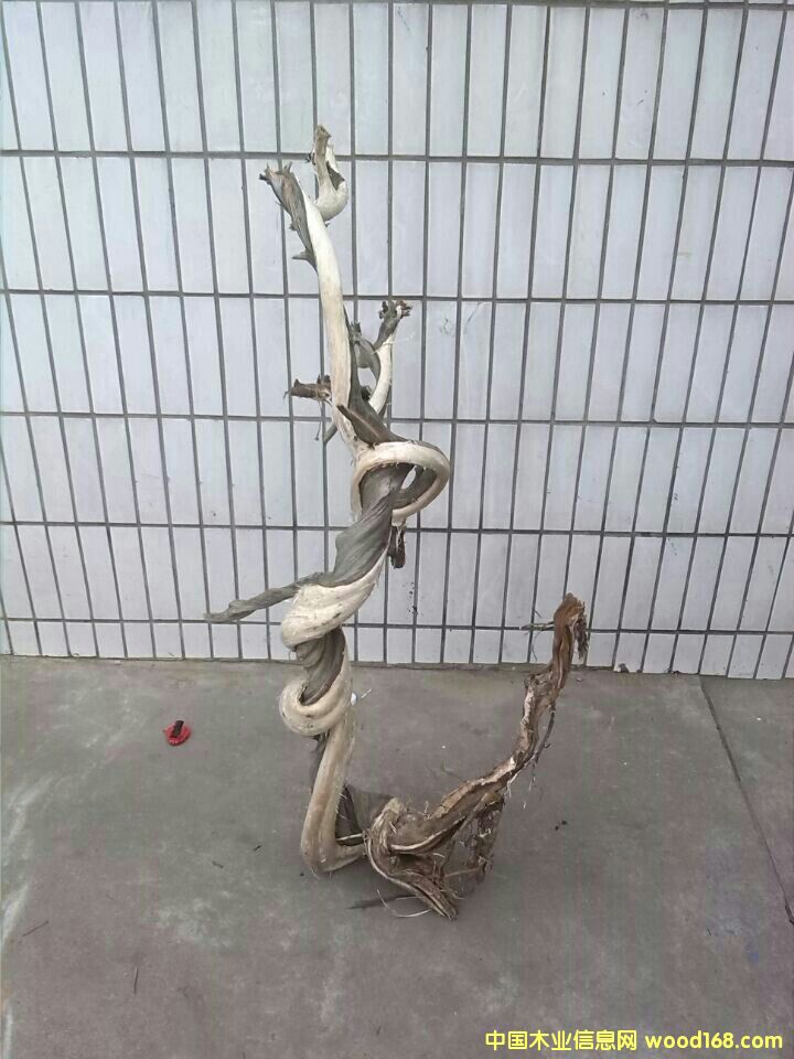 D°سƷ cɷŴ