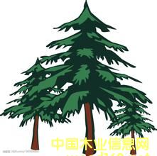 圖：林成森木皮標志 點擊可放大