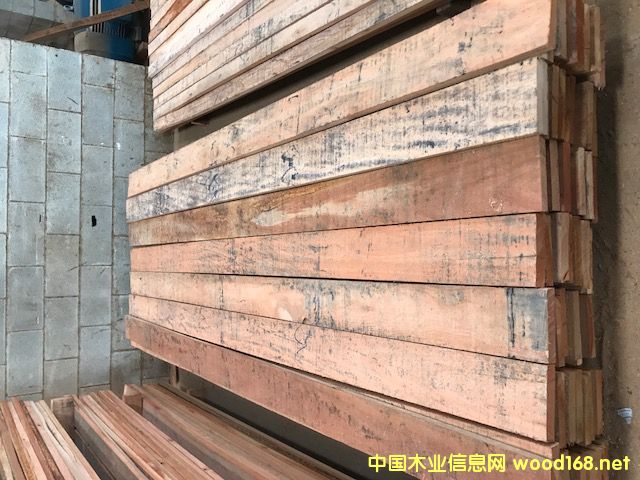 圖：巴西玫瑰桉木板材產品 點擊可放大