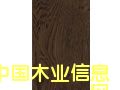 U9109ԔB
