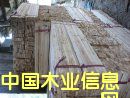 杉木條5的詳細(xì)介紹