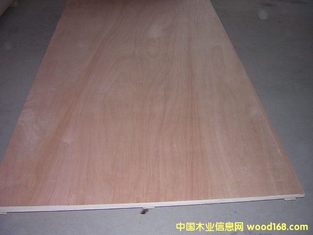 plywoodԔB