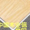 金影的詳細介紹