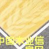 金菠蘿影的詳細介紹