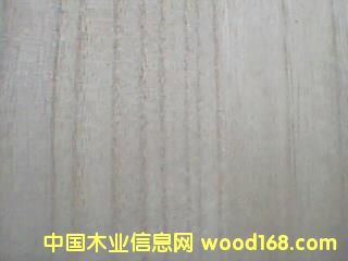 桐木橫拼板的詳細(xì)介紹