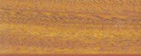 圓盤豆（chiorophra spp .)