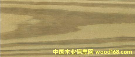 南方松的詳細介紹