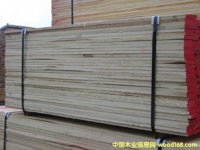 Ϟľwhite ash