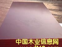 點擊查看brown film face plywood放大圖片