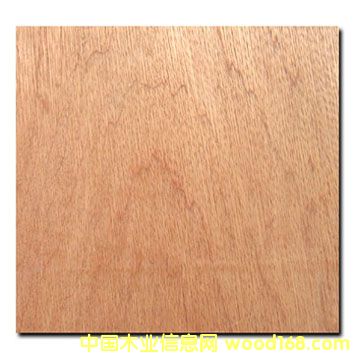 點擊查看Bintangor plywood放大圖片