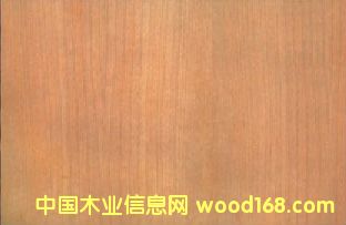 南美櫻桃貼面板的詳細(xì)介紹