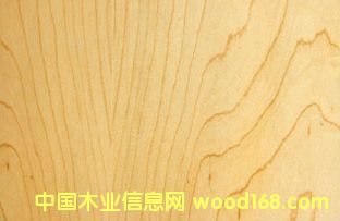楓木貼面板的詳細(xì)介紹