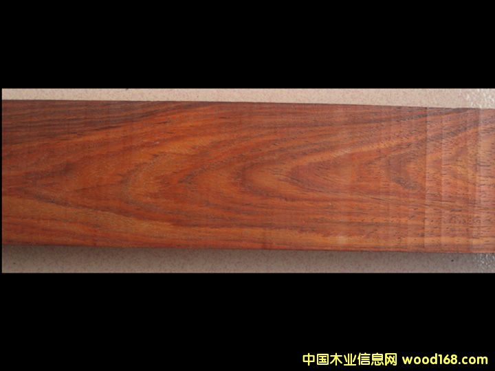紅酸枝的詳細介紹