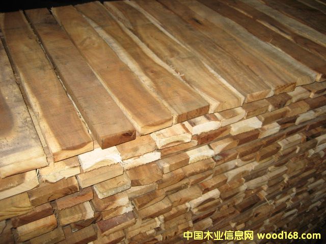 小葉相思的詳細介紹