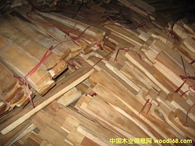 小葉相思的詳細介紹
