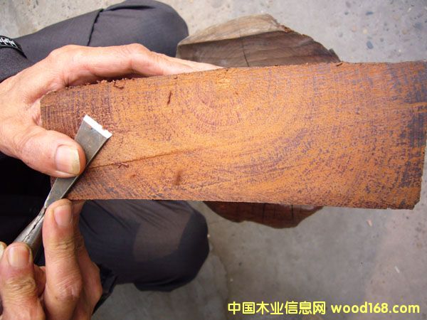 c鿴z骷ŴDƬ