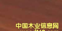 c鿴teak.̫ƽľŴDƬ