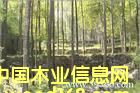 c鿴ַŴDƬ