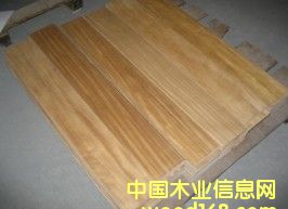 c鿴ϷŴDƬ