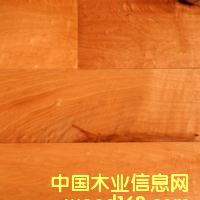 c鿴laminate flooring5ŴDƬ