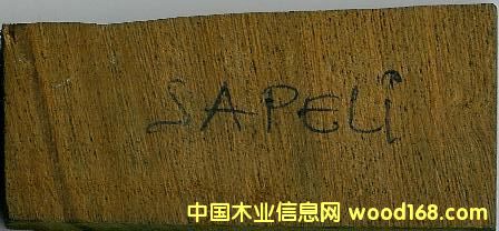 SAPELIԔB