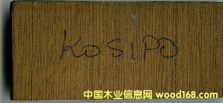 KASIPOԔB