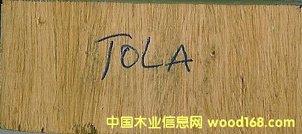 TOLAԔB