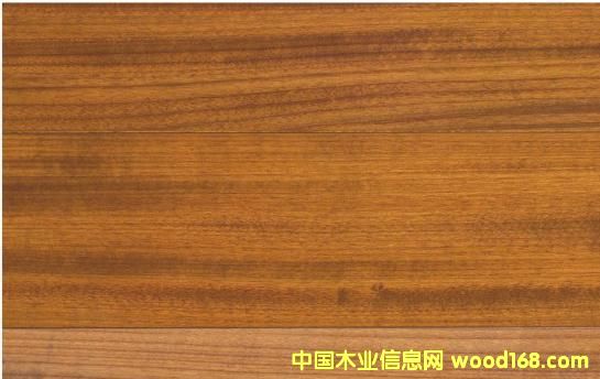 黑心木蓮的詳細介紹