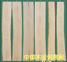 點擊查看櫸木板材放大圖片