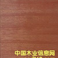c鿴ŴDƬ
