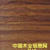 c鿴ʼֱyE0ŴDƬ