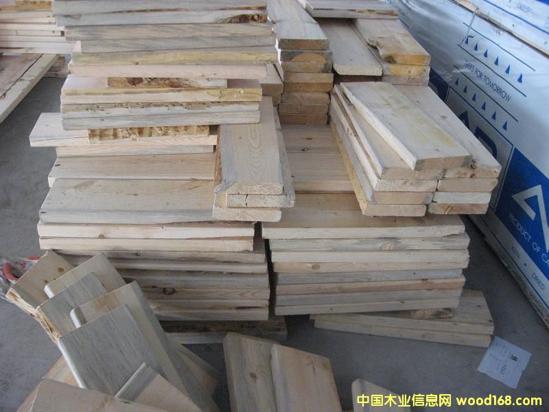 加拿大白松的詳細介紹