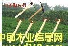 c(din)鿴怰1ŴDƬ