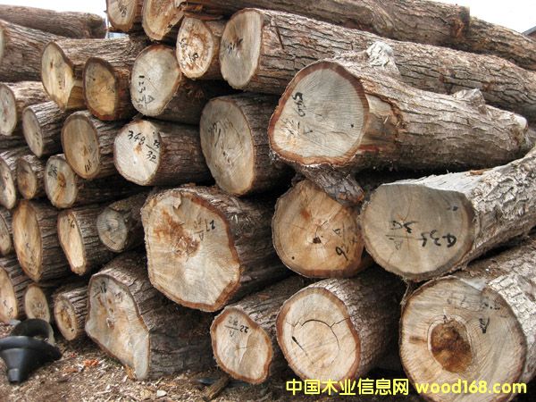 原木的詳細(xì)介紹