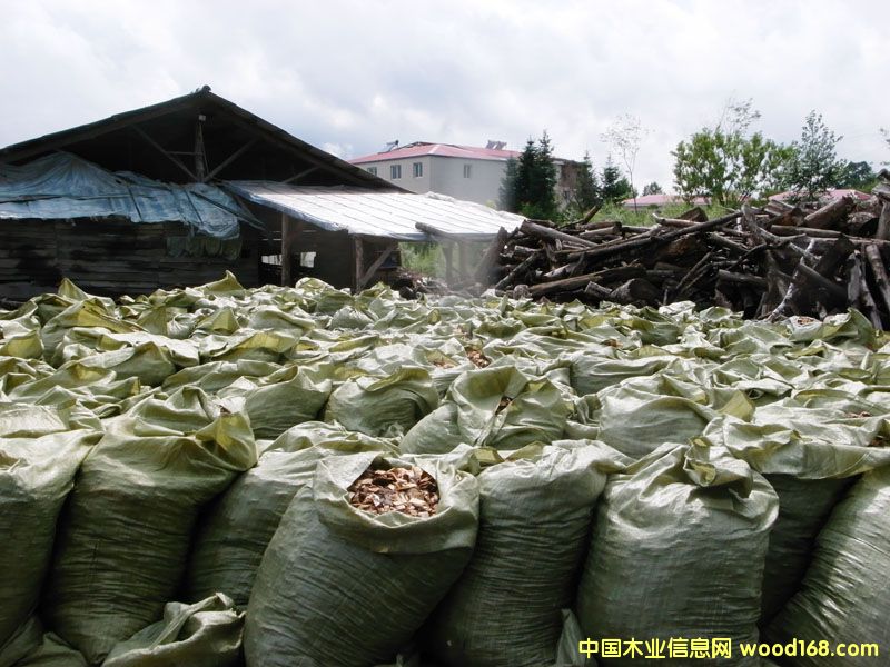 削片的詳細(xì)介紹