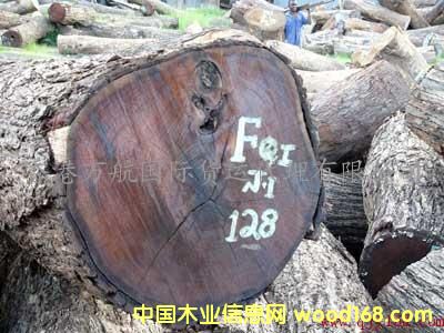 c鿴ľMڴ/ľMں݈P/ľĺMڴ̙zŴDƬ