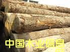 c鿴ľM麣P/麣MľP/麣ľĈPзŴDƬ