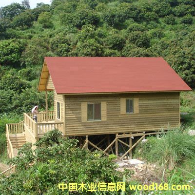 碳化木的詳細介紹