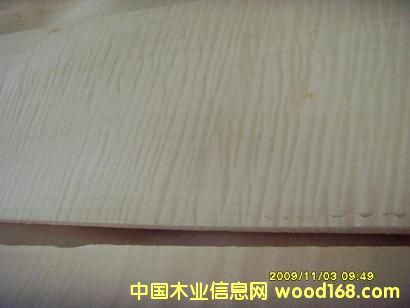 0.6白影的詳細(xì)介紹