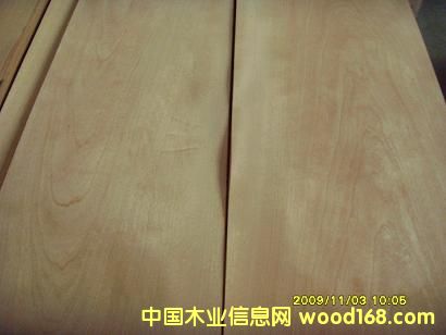 0.6西南樺山紋木皮的詳細(xì)介紹
