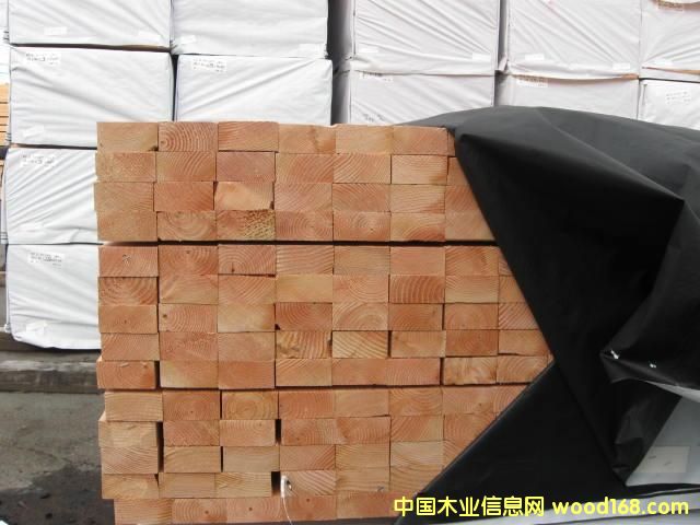 花旗松 2級的詳細介紹