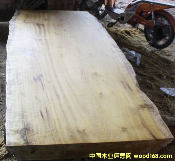 緬甸金絲楠木（大板）的詳細介紹