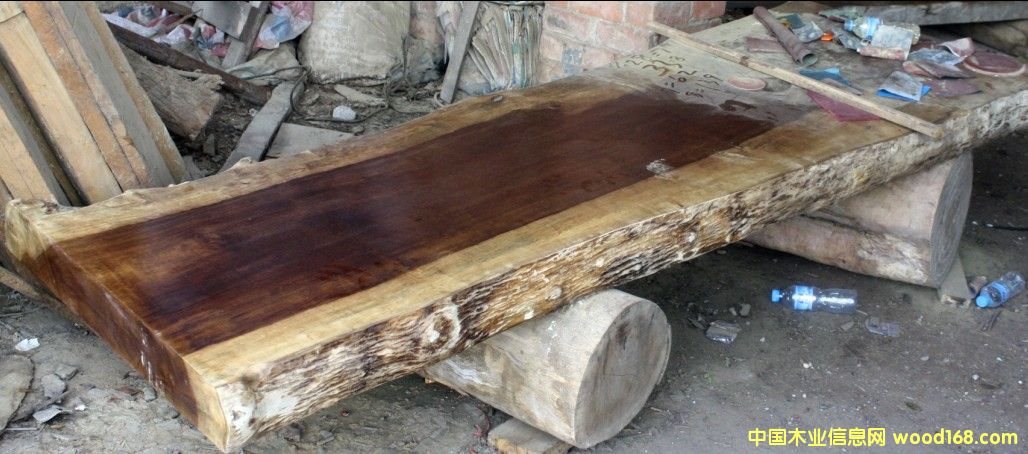 緬甸金絲楠木（大板）的詳細介紹