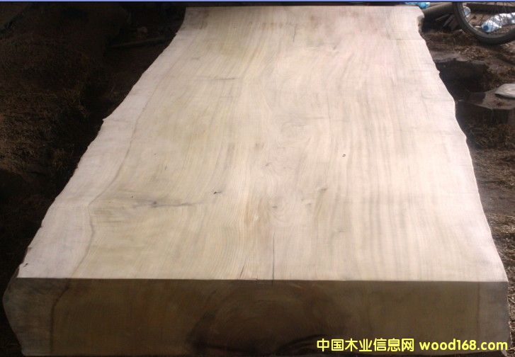 緬甸金絲楠木（大板）的詳細介紹