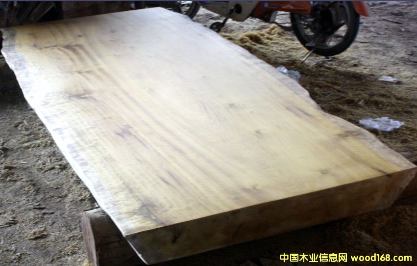 緬甸金絲楠木（大板）的詳細介紹