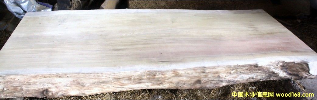 緬甸金絲楠木（大板）的詳細介紹