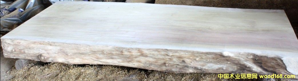 緬甸金絲楠木（大板）的詳細介紹