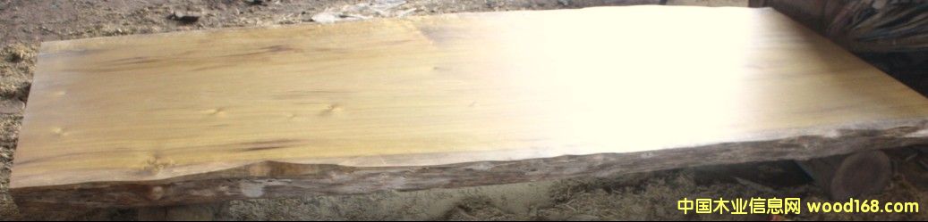 緬甸金絲楠木（大板）的詳細介紹