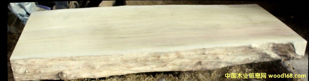 緬甸金絲楠木（大板）的詳細介紹